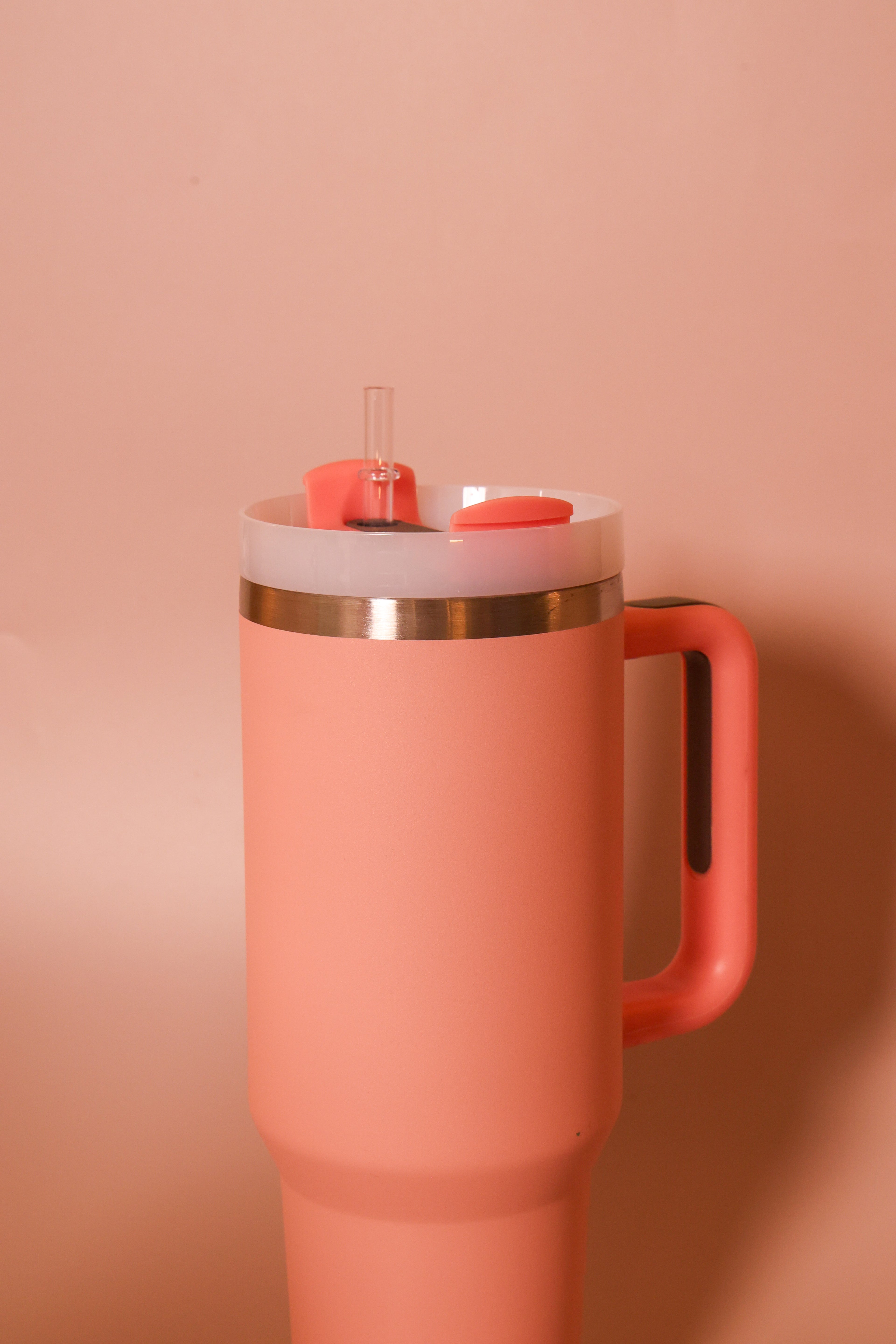 Gulp Goals Sipper (Pink)